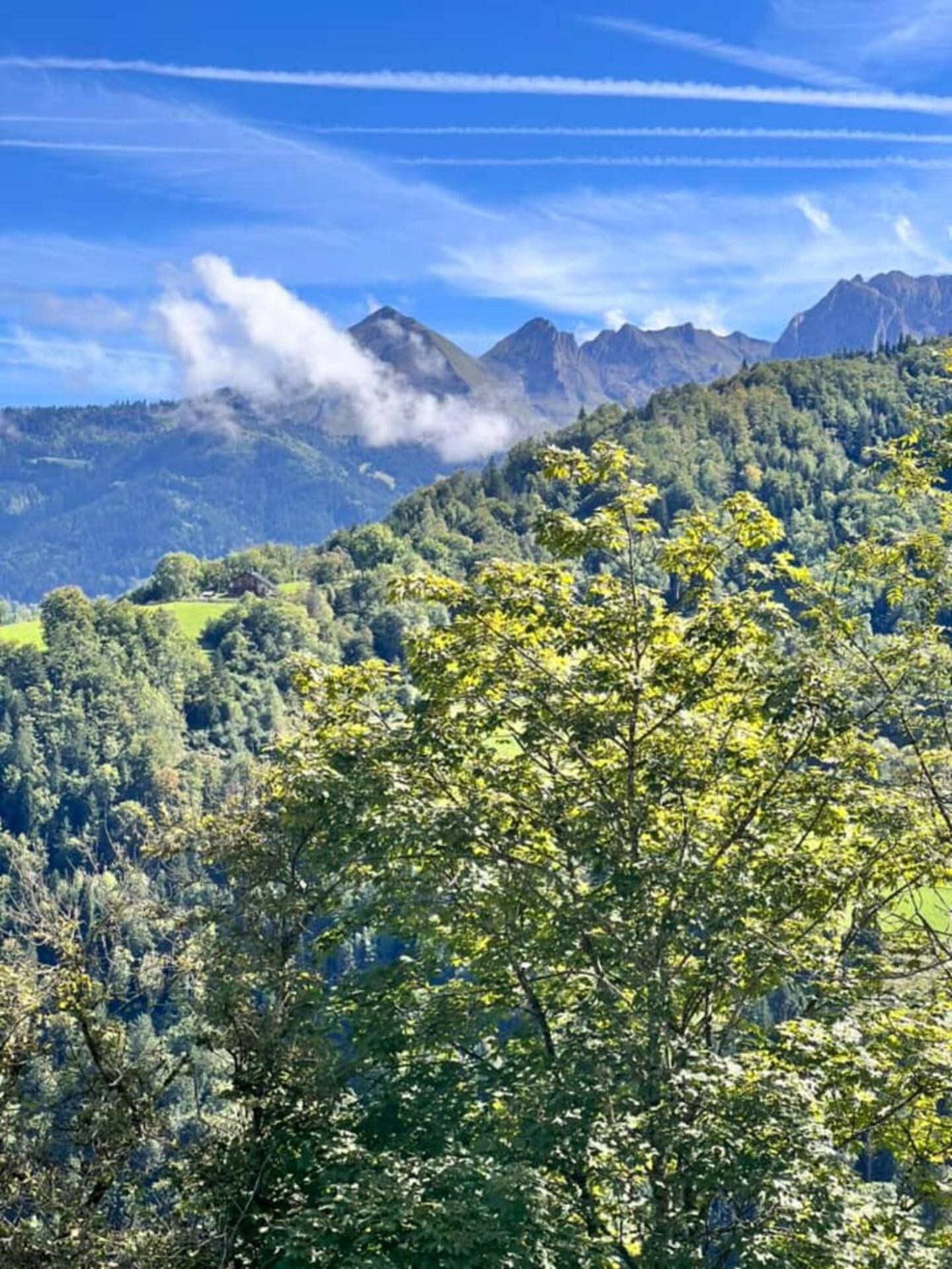 Charming Family Chalet For 8 People, With Private Hot Tub Les Clefs Kültér fotó